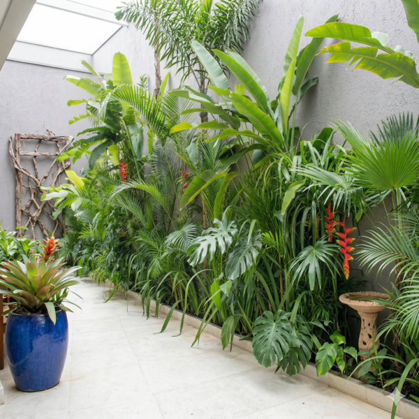 Jardim em formato de corredor bem cuidado